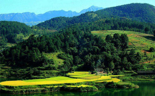 坟山风水图解
